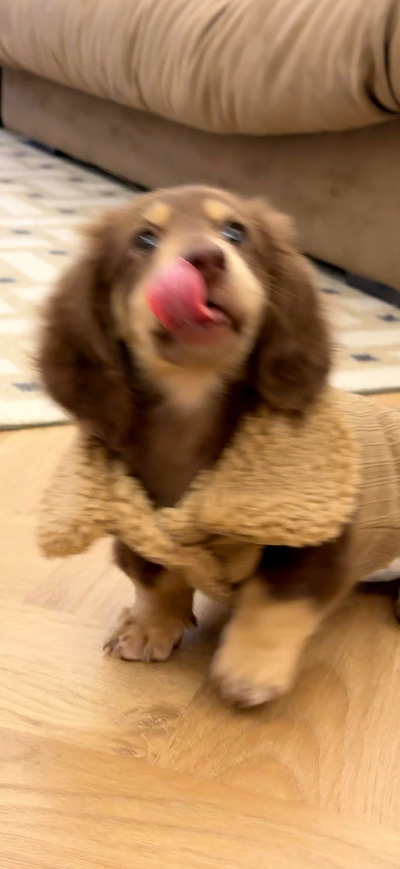 壁纸