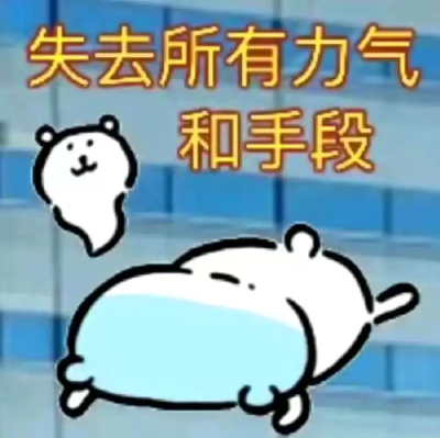 自嘲熊