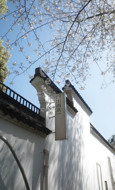 壁纸