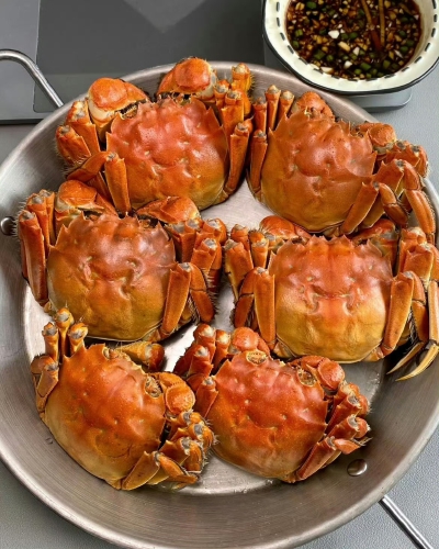 美食