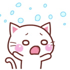 表情包