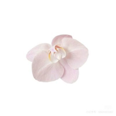 app素材小图标 ♥