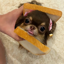 壁纸