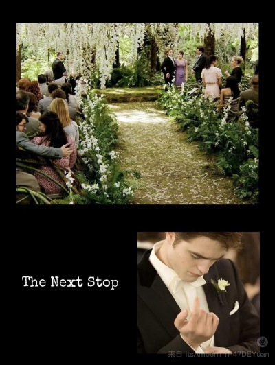 twilight & Kristen