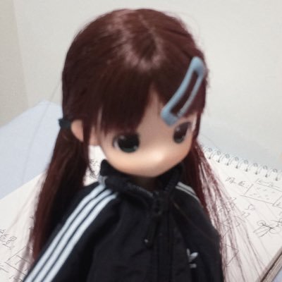 bjd