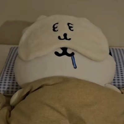 自嘲熊 头像