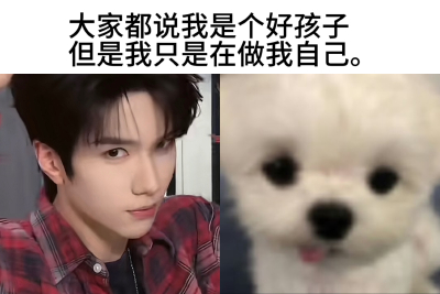 制作一张萌萌的梗图(๑´ㅂ`๑)