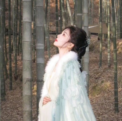 白鹿