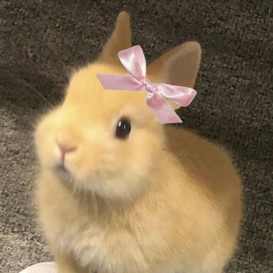 情头