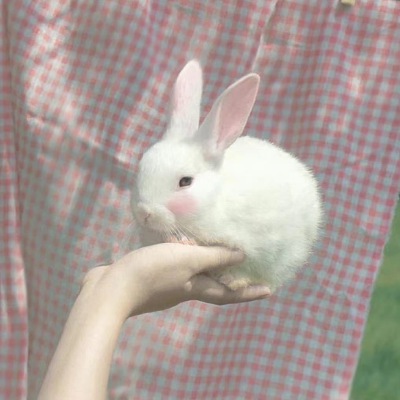 情侣头像
