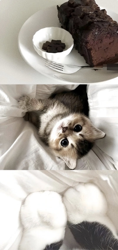 拼接