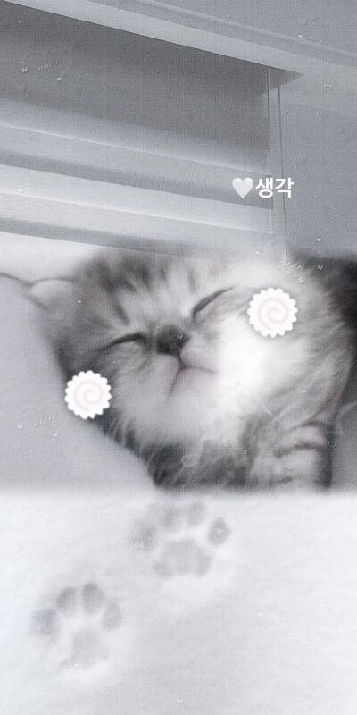 拼接