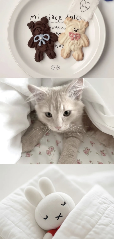 拼接