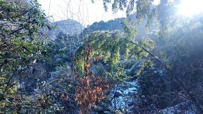 黄山