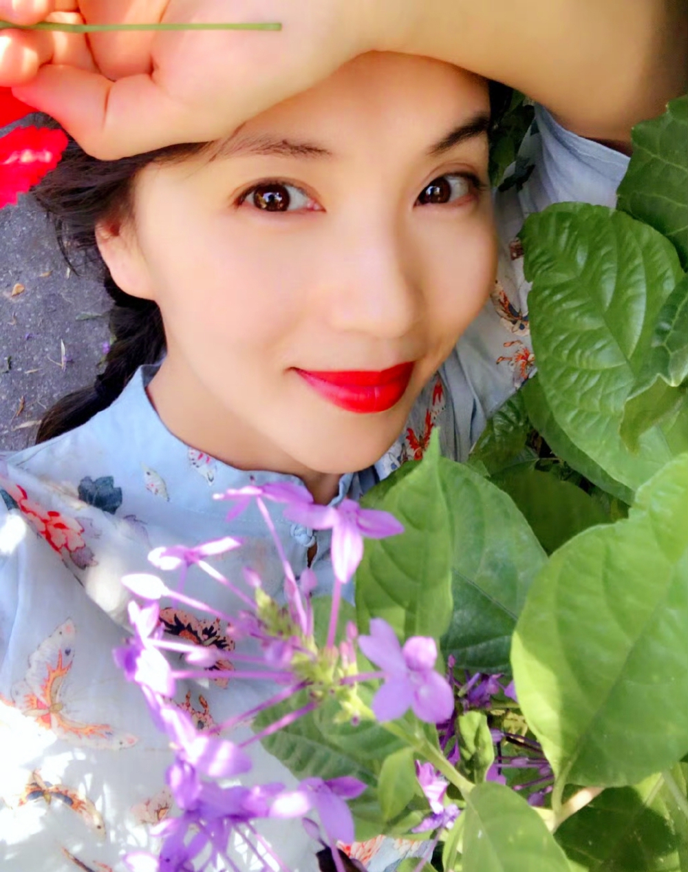 陈好