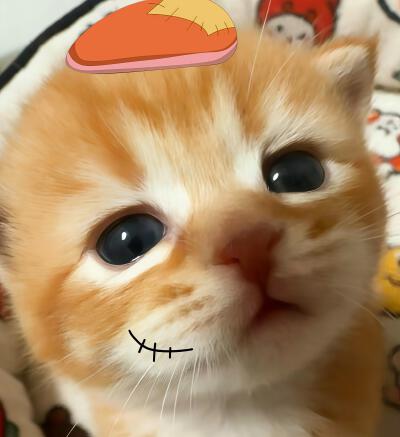 情头