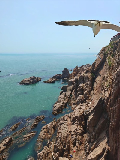 威海