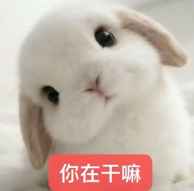 (ㆁωㆁ)