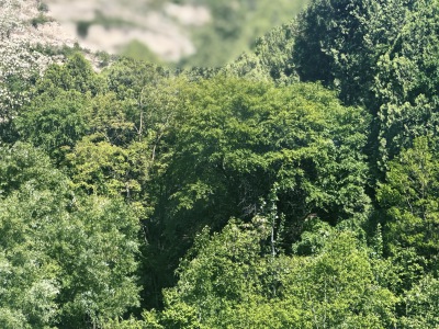 乱七八糟的自拍