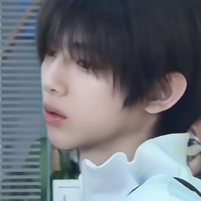 这里有六只猪
