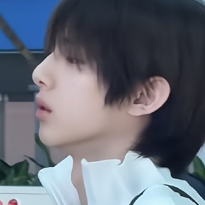 这里有六只猪