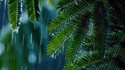 动图｜雨落