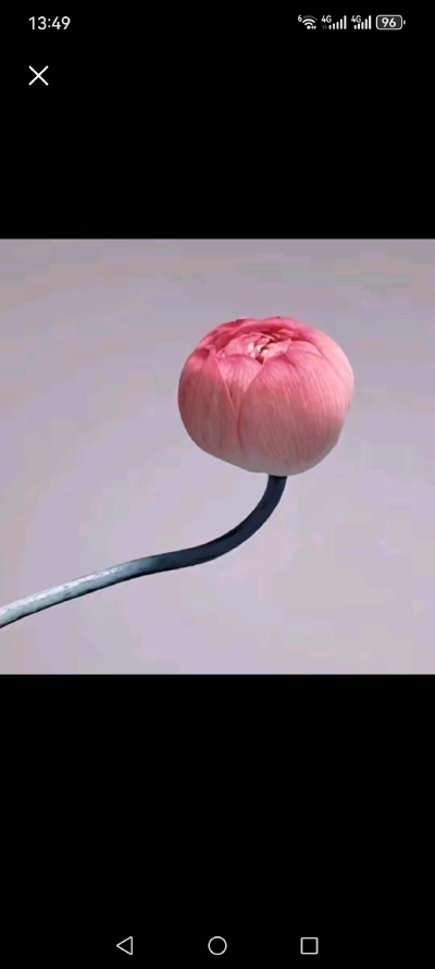 美之唯美