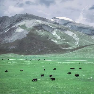 背景图