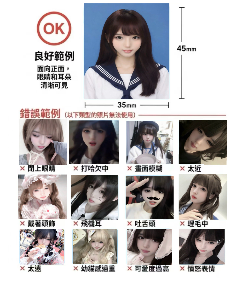 猫猫证件照