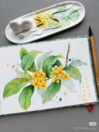 猫若影子的花花