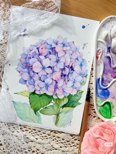 猫若影子的花花