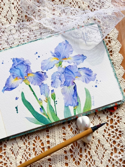 猫若影子的花花