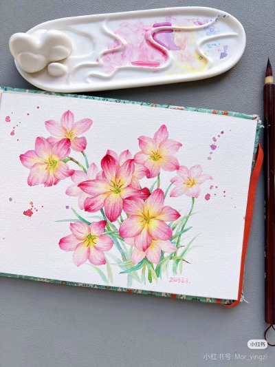 猫若影子的花花