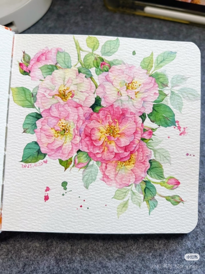 猫若影子的花花