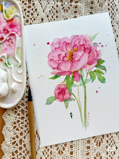 猫若影子的花花