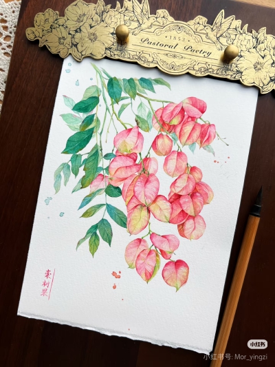 猫若影子的花花