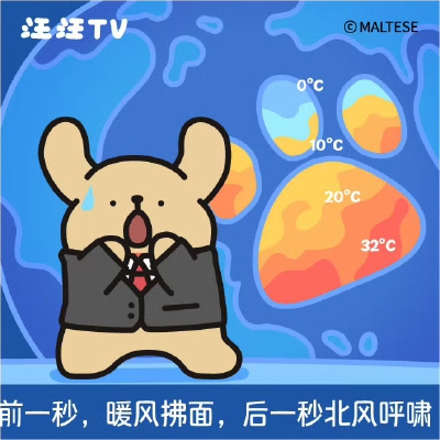 线条小狗