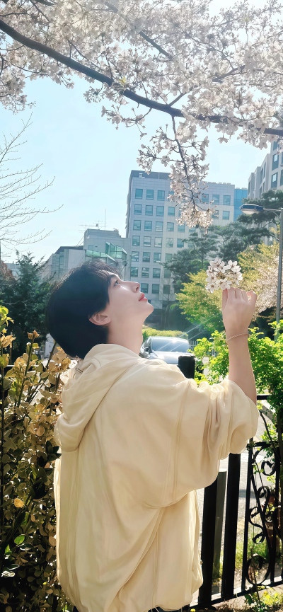 全圆佑 尹净汉 Joshua s.coups hoshi 文俊辉