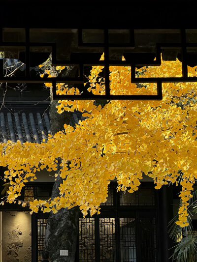 秋天