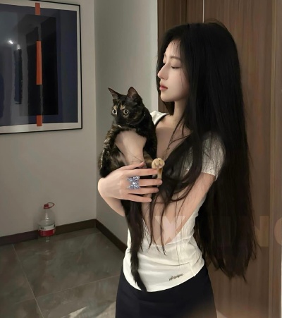 悄悄退场
