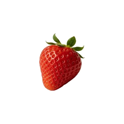 食物白底头像