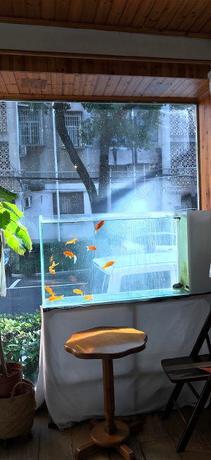 壁纸