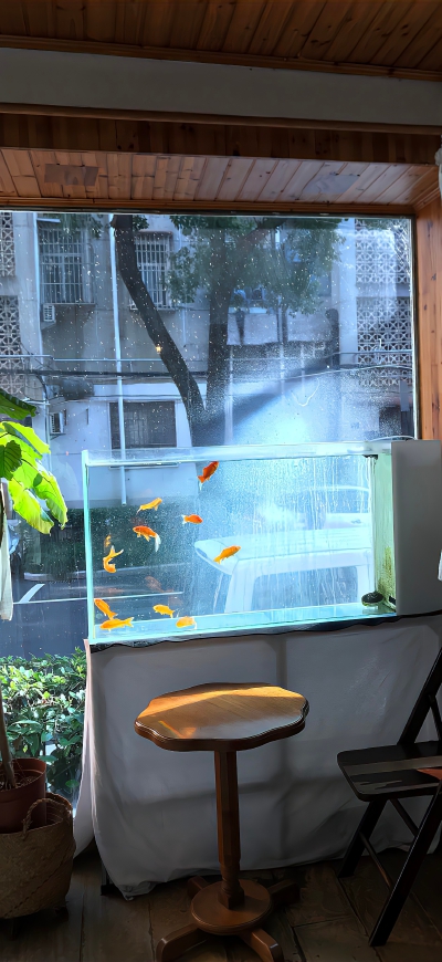 壁纸