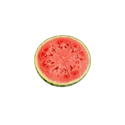 食物白底头像