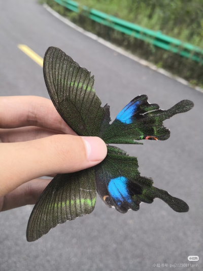 。