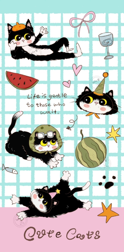 猫咪壁纸套图