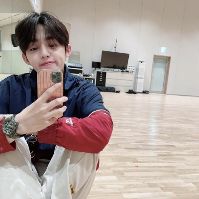 全圆佑 尹净汉 Joshua s.coups hoshi 文俊辉
