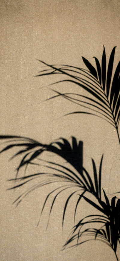 壁纸｜搬运网络 侵删