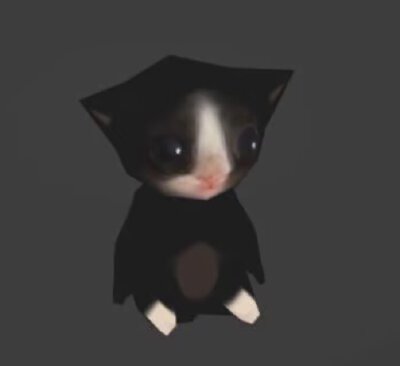 萌物猫可爱头像