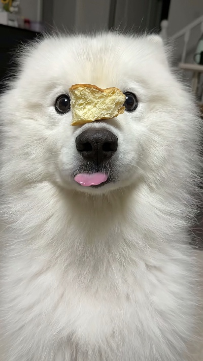 ～